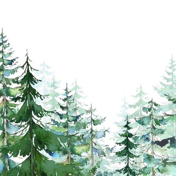 Meet your Posher, Dianne - Picture 1 of 1